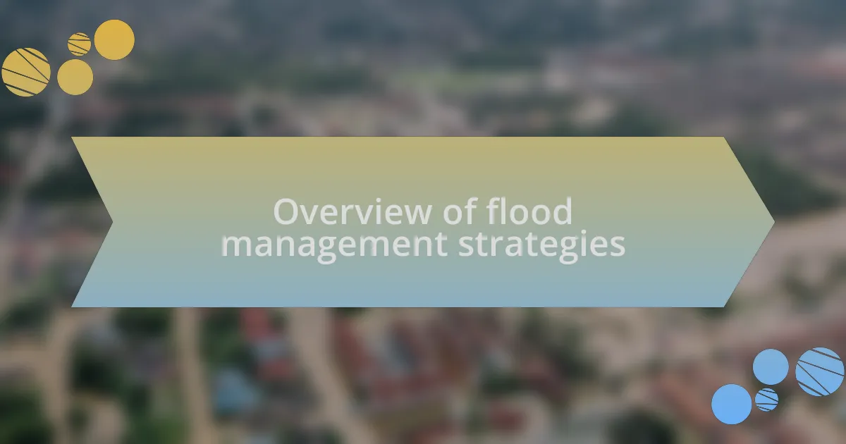 Overview of flood management strategies